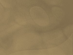 汽车喷油嘴堵塞，油耗增加动力下降